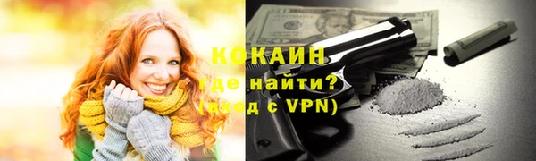 твердый Михайловск
