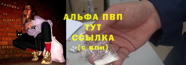 прущие грибы Осташков