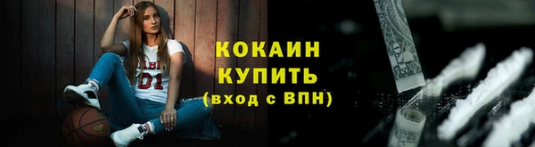 твердый Мегион
