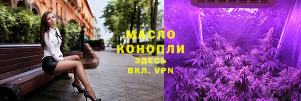 твердый Михайловск