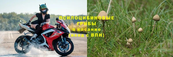 меф Пересвет