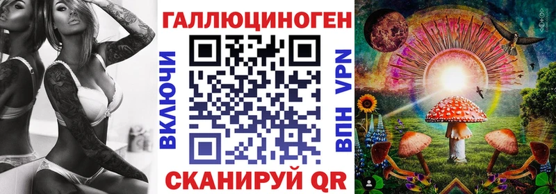 наркотики  Кировск  Псилоцибиновые грибы Psilocybe 